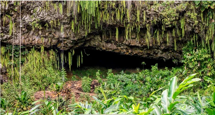 Wailua River &amp; Fern Grotto