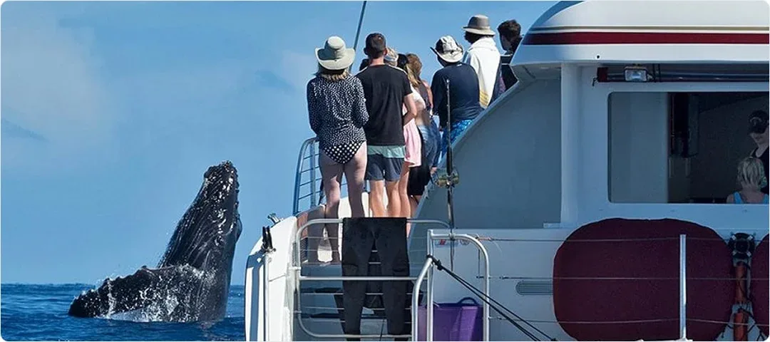 Hula Girl Snorkel Scuba Charter
