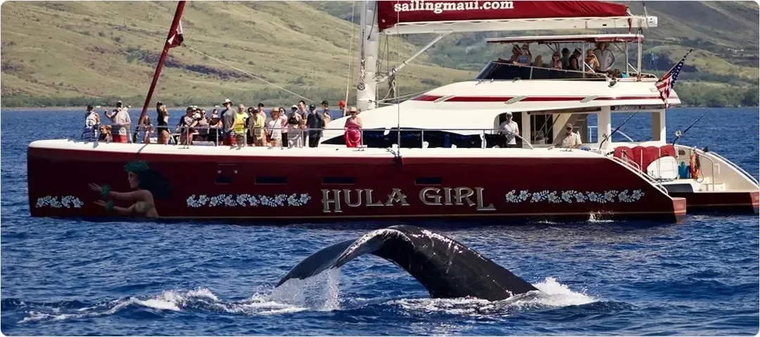 Hula Girl Deluxe Whale Watch Dinner Cruise