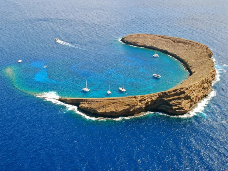 AM Molokini Snorkel and Seasonal Whale Watching