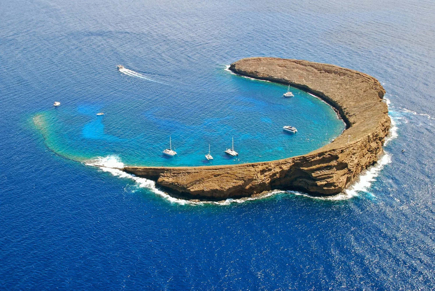 AM Molokini Snorkel and Seasonal Whale Watching