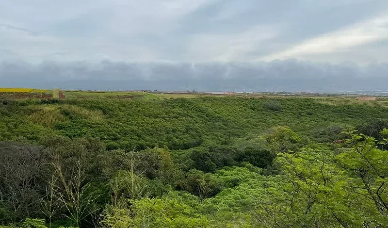 Honouliuli Hidden Histories Walk
