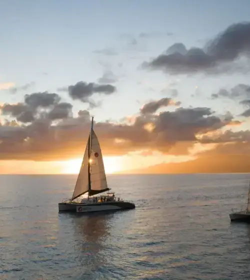 Three sailing catamarans on the ocean at sunset with a partly cloudy sky