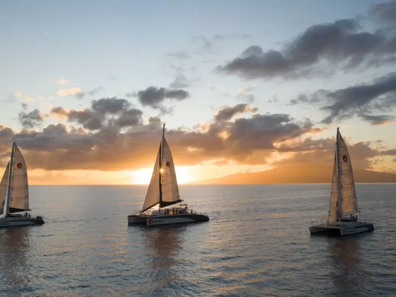 Paragon Sunset Sail (‘Paragon Sunset Sail’)