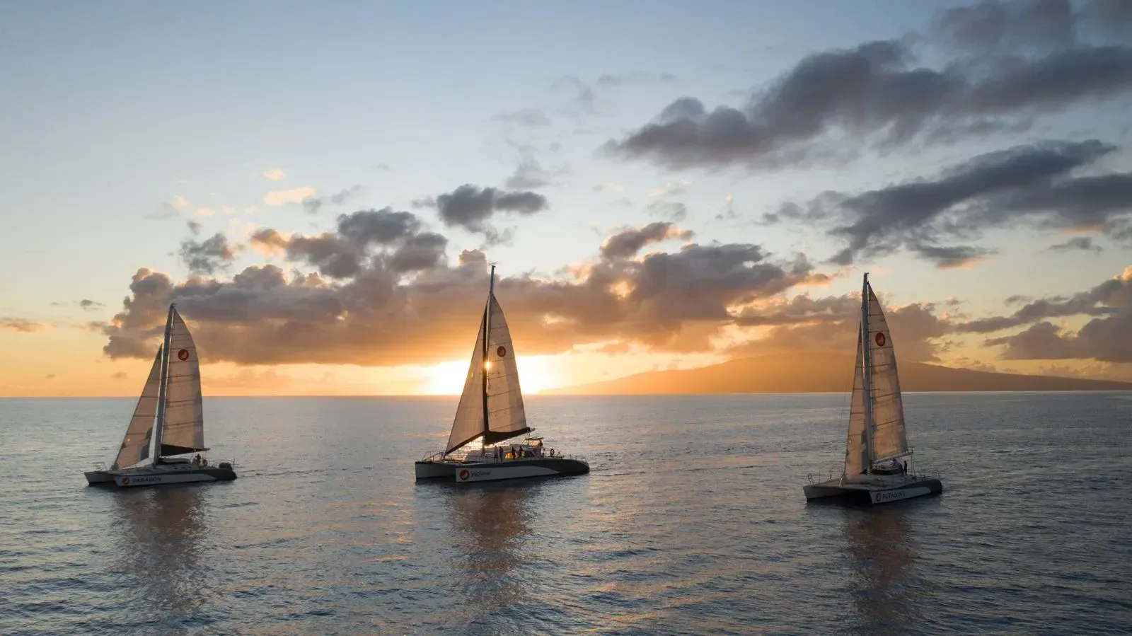 Paragon Sunset Sail (‘Paragon Sunset Sail’)