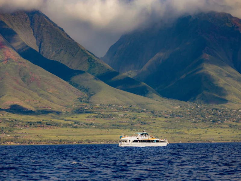 Maui Snorkel &amp; Sunset Adventure