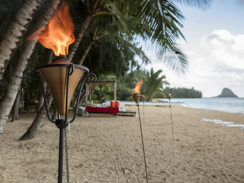 Secret Island Beach Activities – Full Day