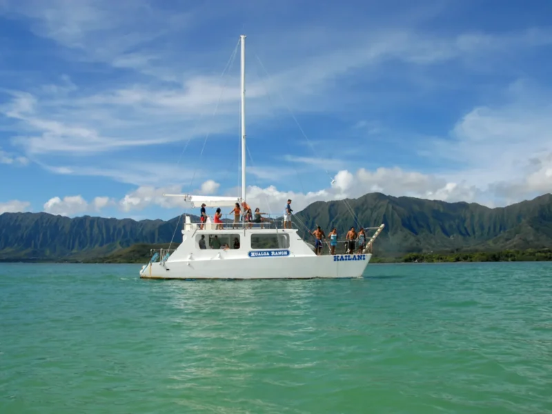 Ocean Voyage Adventure