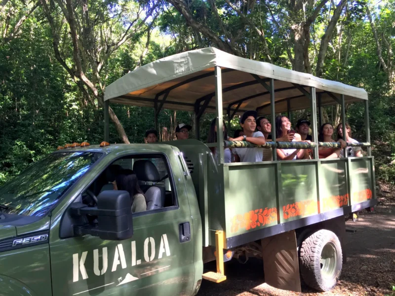 Jungle Expedition Tour