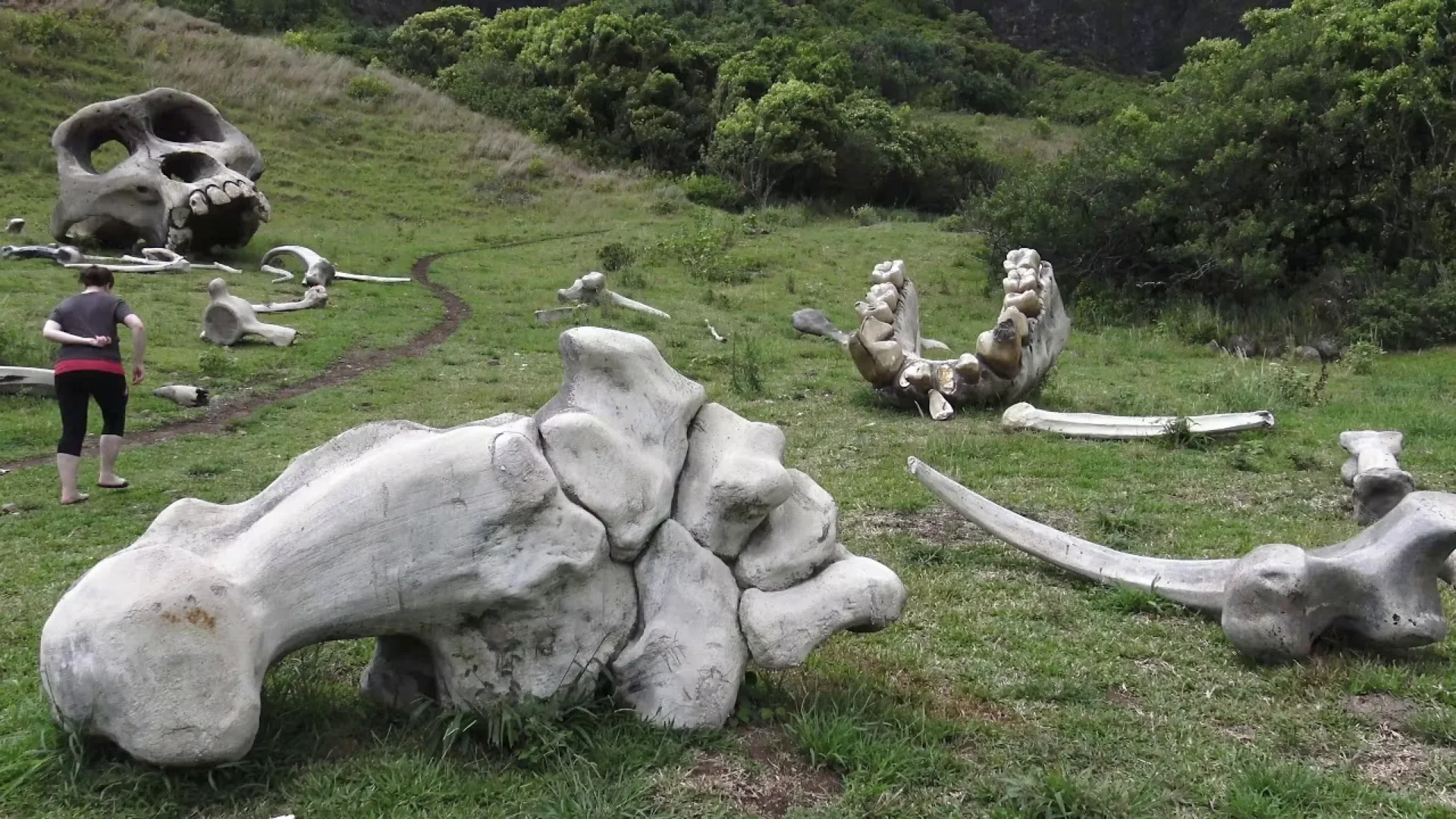 Jurassic Adventure Tour