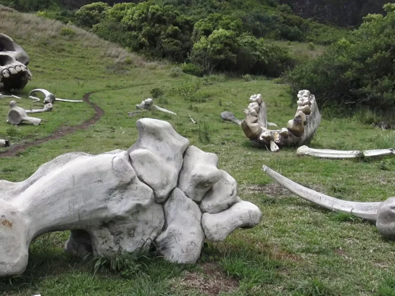 Jurassic Adventure Tour