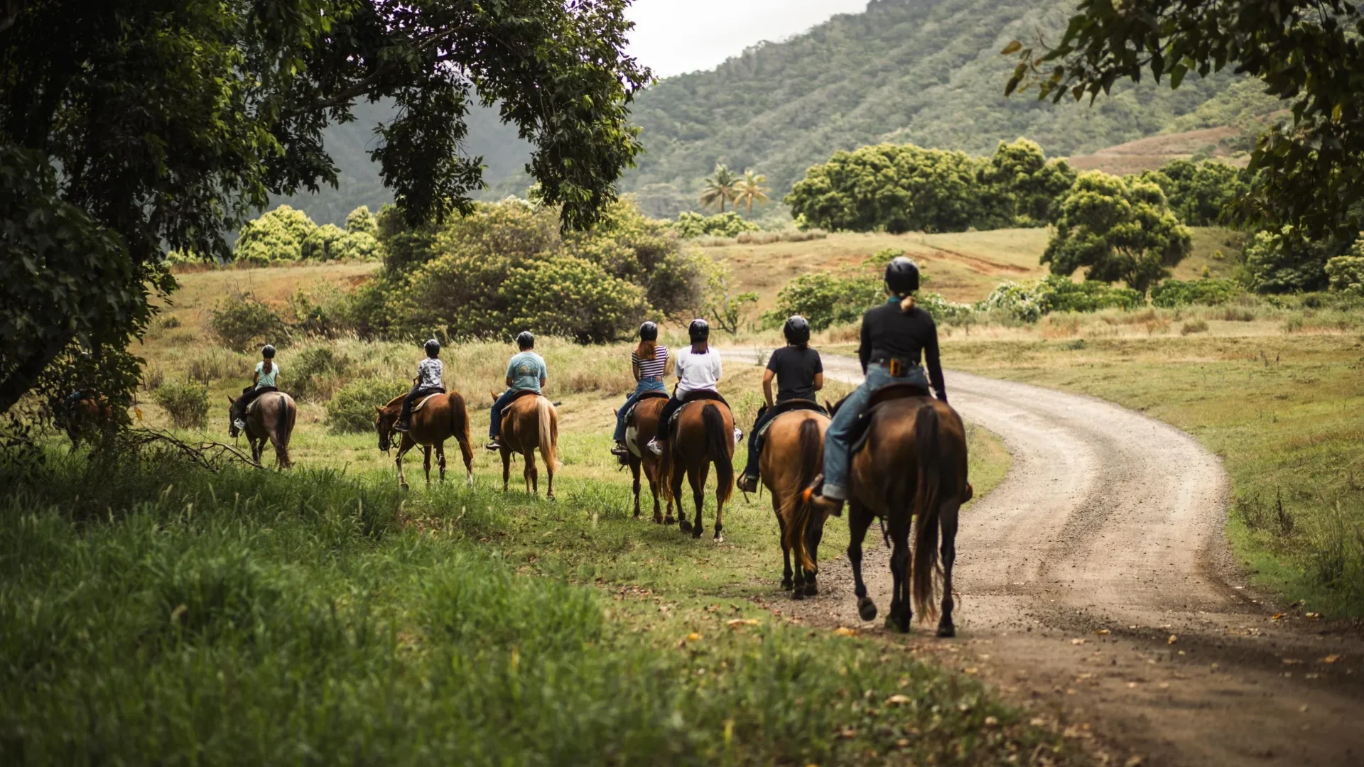 Horseback Walking Tour