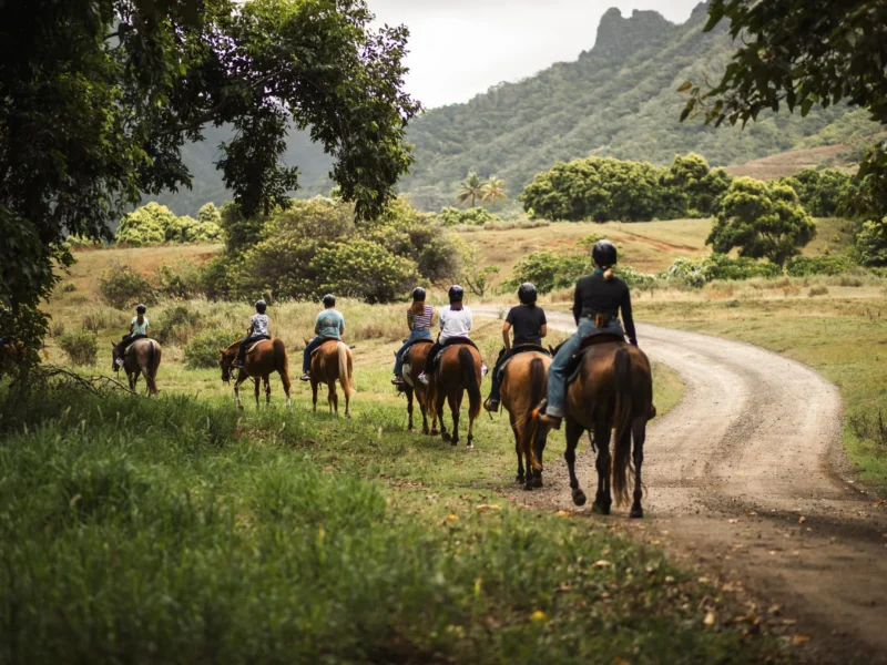 Horseback Walking Tour