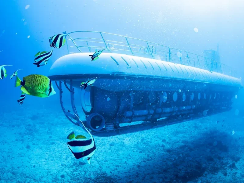 Waikiki Submarine Tour