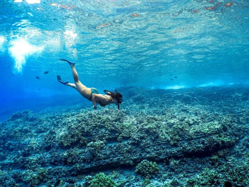 Molokini Snorkel Tour from Māʻalaea Harbor