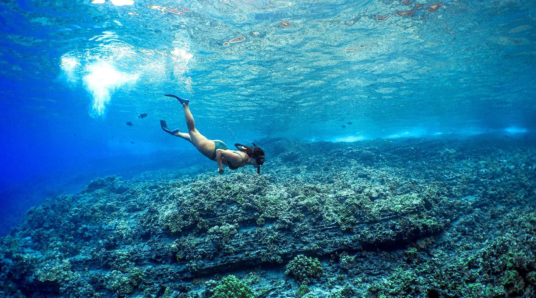 Molokini Snorkel Tour from Māʻalaea Harbor