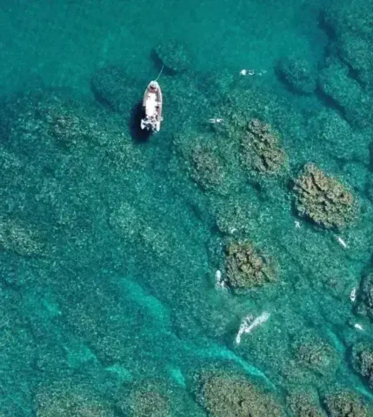 Boat floating over coral reef with swimmers in clear turquoise water