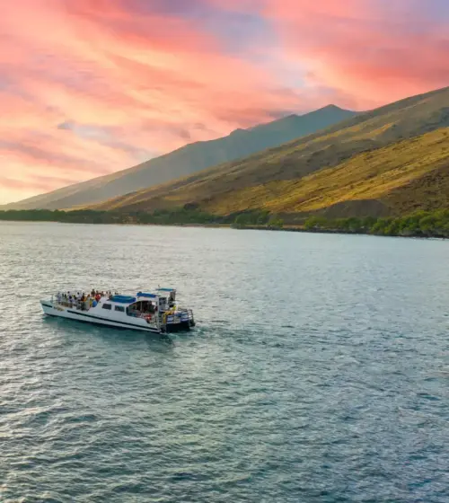 tour boat sailing near mountainous coastline under a pink sunset sky