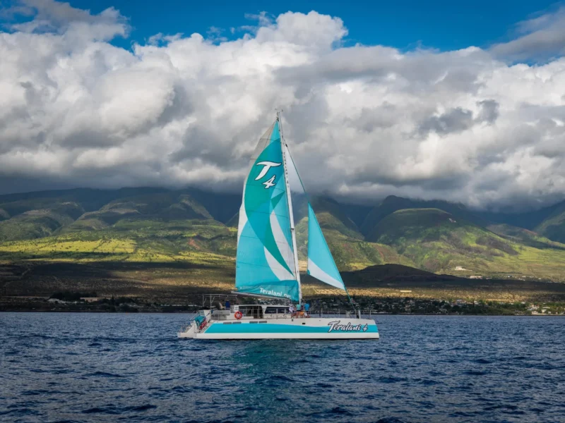 Premier Snorkel Sail
