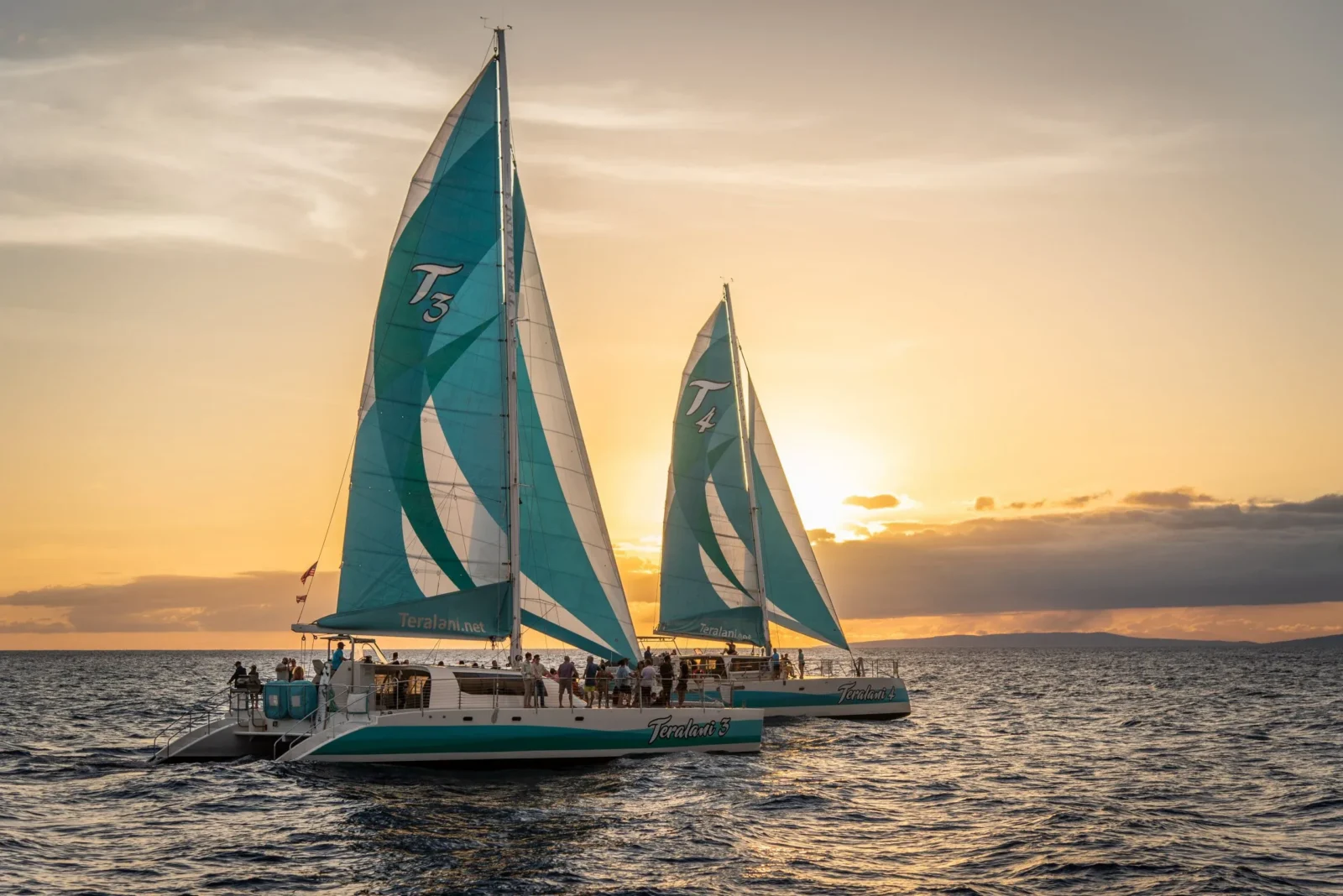 Holo Holo Sunset Cocktail Sail