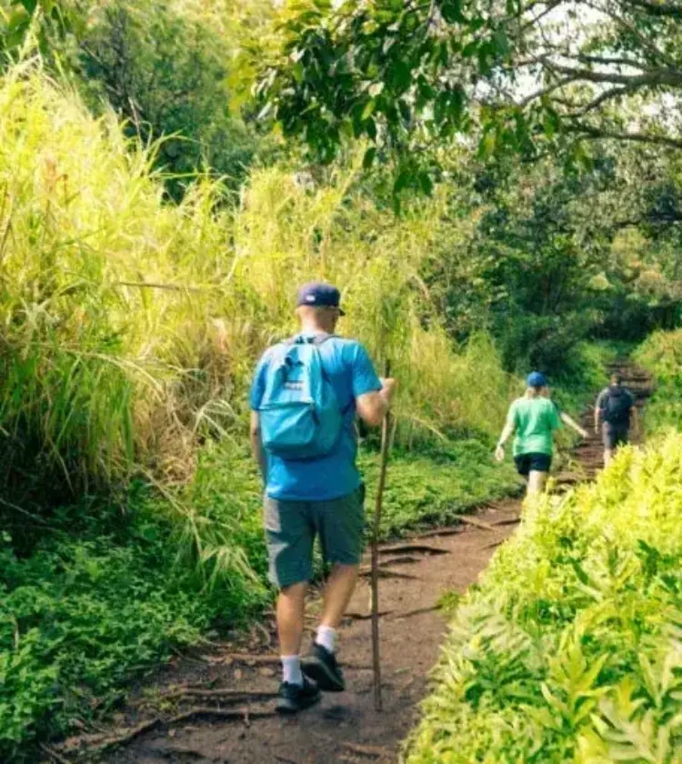 three people hiking on a forest trail surrounded by lush greenery