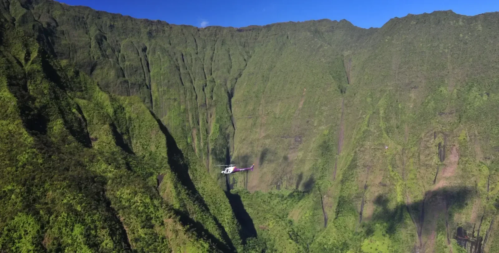 Kauai Doors-On Helicopter Tour (AStar Eurocopter)