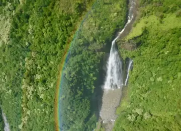 Waterfall cascading into a forest valley with a rainbow arching across dense green trees