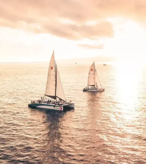 Two sailboats sailing on calm ocean water during a bright sunset