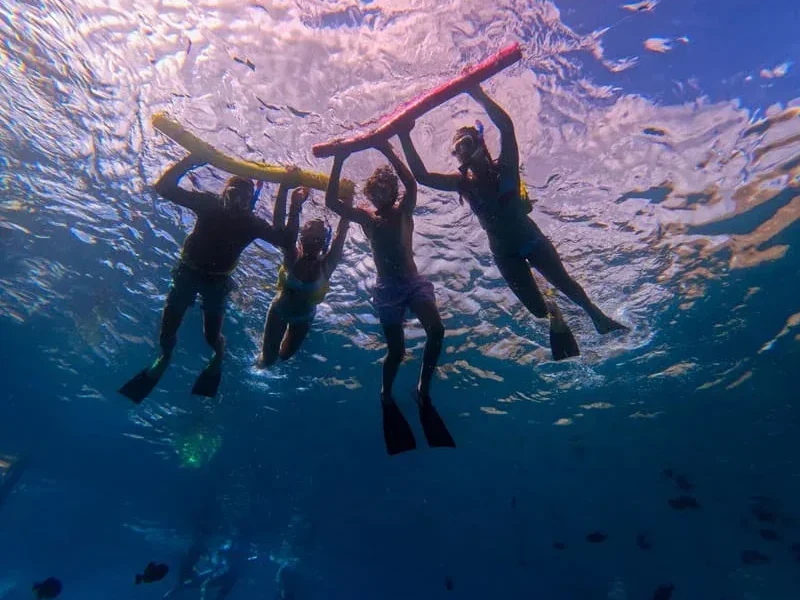 Maui Snorkeling Afternoon Tour