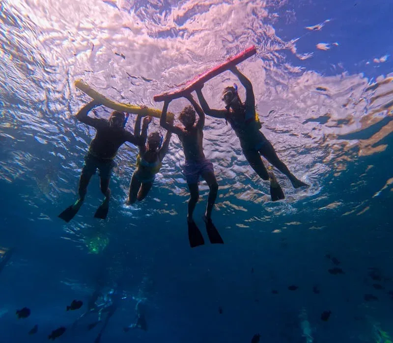 Maui Snorkeling Afternoon Tour