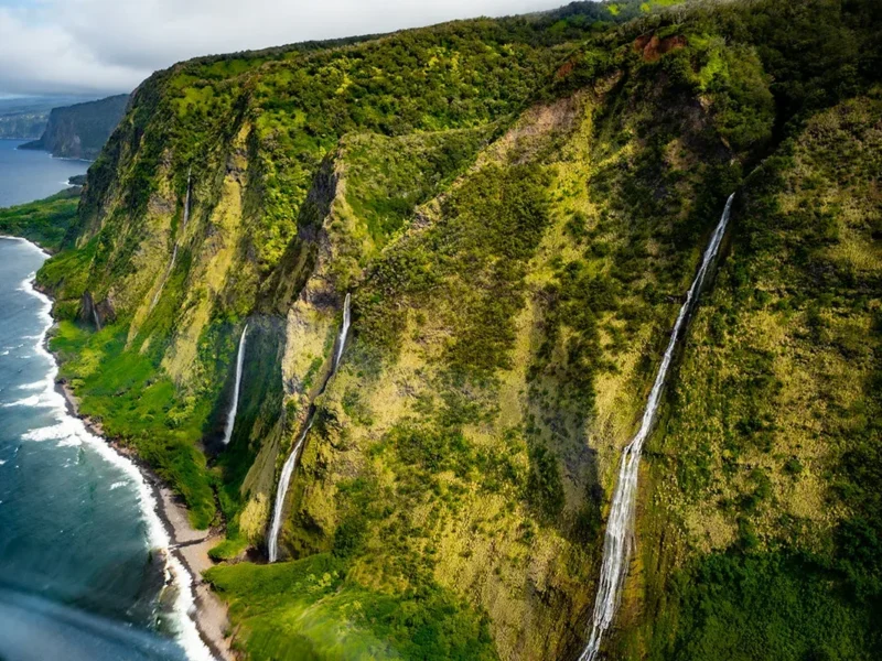 Hamakua Waterfalls &amp; Valleys Safari