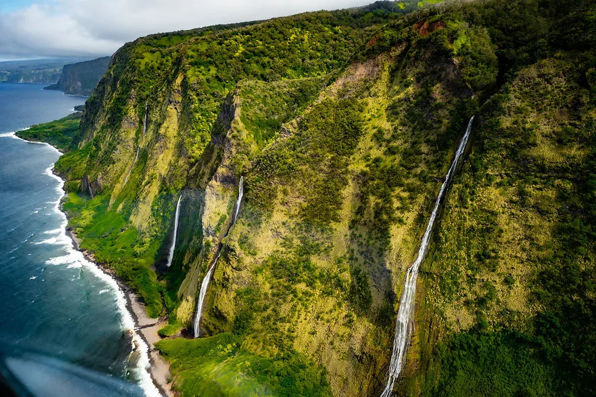 Hamakua Waterfalls &amp; Valleys Safari