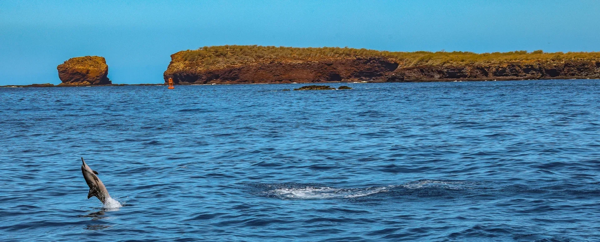Wikiwiki Molokini