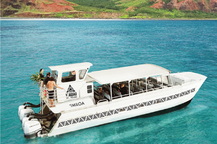 Whale Watch &amp; Cocktail Cruise ('Imiloa Express Whale Watching Cocktail Tour')