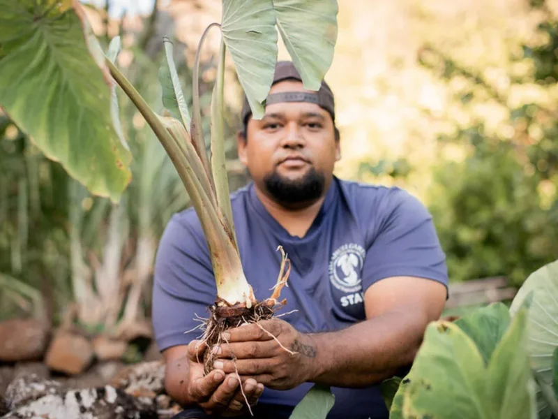 Limahuli Lāʻau Lapaʻau Traditional Medicine Tour