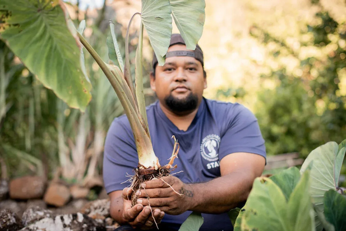 Limahuli Lāʻau Lapaʻau Traditional Medicine Tour