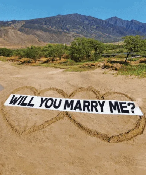 Beach Proposal Flight