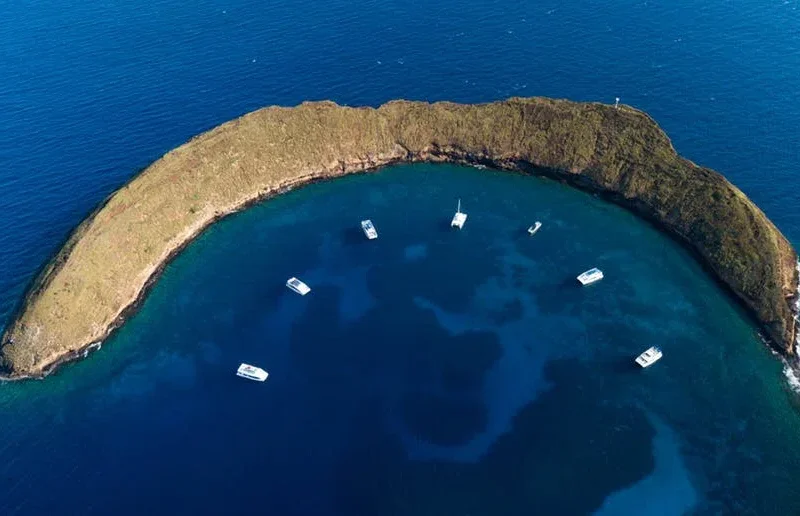 Molokini &amp; Turtle Arches Snorkel
