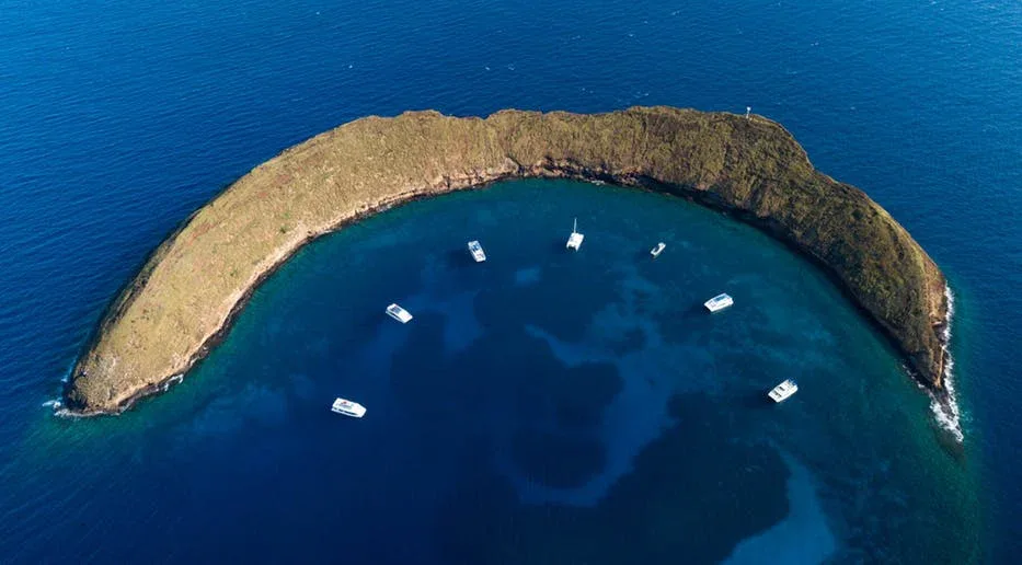 Molokini &amp; Turtle Arches Snorkel