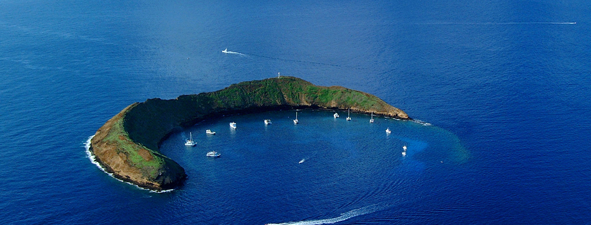 Afternoon Molokini or Coral Gardens Snorkel Tour