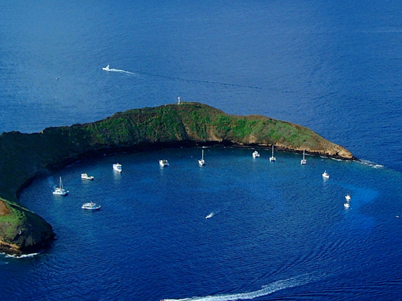 Afternoon Molokini or Coral Gardens Snorkel Tour