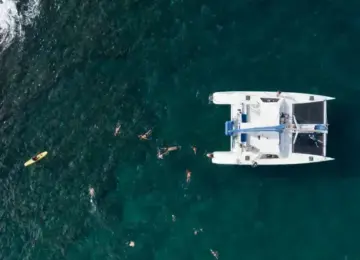 overhead view of catamaran surrounded by people swimming and a yellow kayak in clear ocean water