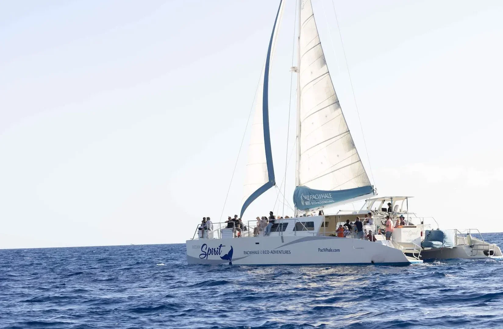 Maui Sail (Ocean Spirit)