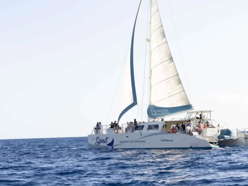 Maui Sail (Ocean Spirit)