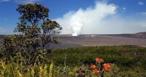 Hawaii: Hilo Volcano Tour (Land Tour)