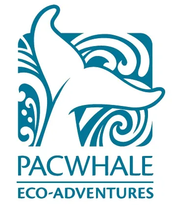 Pacific Whale Foundation