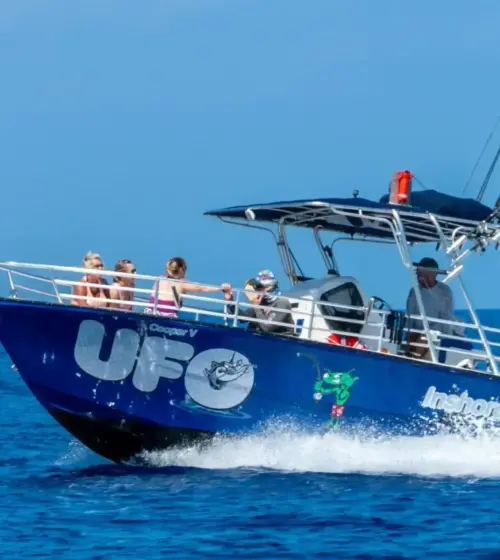 blue fishing boat UFO with tourists cruising on the ocean under clear sky