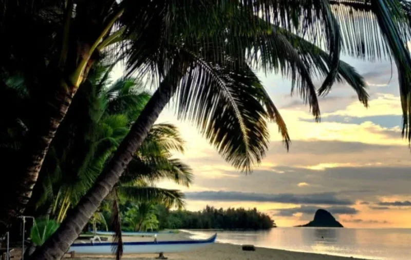 Secret Island Beach Activities – Half Day