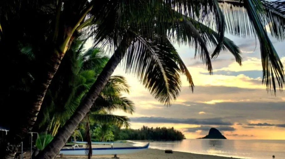 Secret Island Beach Activities – Half Day