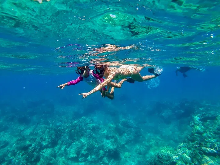 Snorkel Adventure Cruise